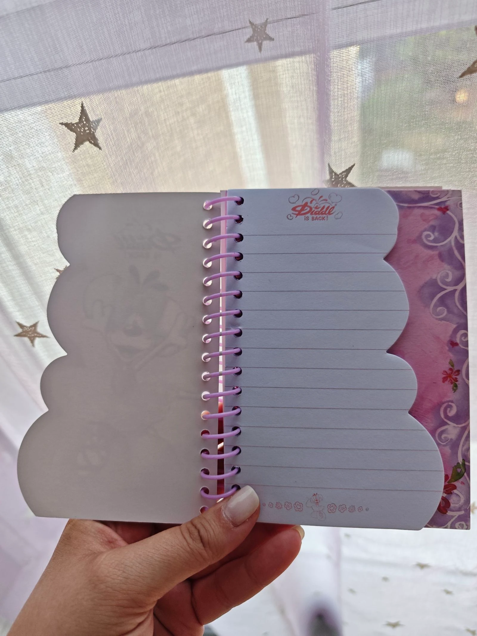 Petit cahier carnet Diddl is Back Diddlina Danseuse France A6 – photo 4
